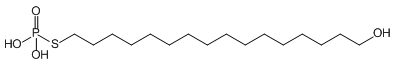 `IzXzl[g ALzXz_ AL_ _\ zXz_ ALzXz_U AL`IzXzl[g thiophosphonate phosphoric acid phosphonate