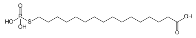 `IzXzl[g ALzXz_ AL_ _\ zXz_ ALzXz_U AL`IzXzl[g thiophosphonate phosphoric acid phosphonate