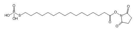 `IzXzl[g ALzXz_ AL_ _\ zXz_ ALzXz_U AL`IzXzl[g thiophosphonate phosphoric acid phosphonate
