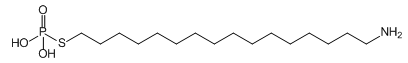 `IzXzl[g ALzXz_ AL_ _\ zXz_ ALzXz_U AL`IzXzl[g thiophosphonate phosphoric acid phosphonate